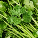 fresho! Coriander Leaves Without Roots, 1 kg
