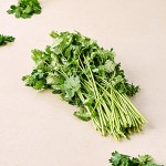 fresho! Coriander Le...