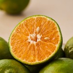 Orange - Nagpur, Reg...