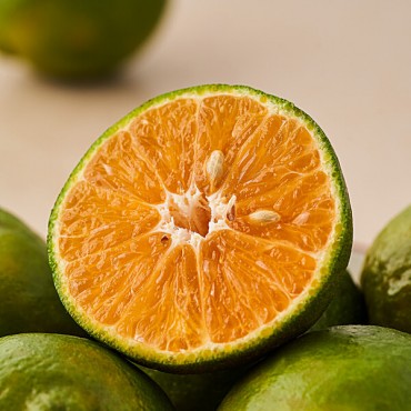 Orange - Nagpur, Reg...