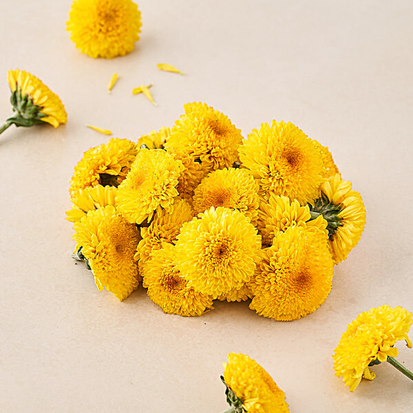fresho! Chrysanthemum/Shevanti Flower, 1 kg